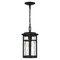 Quoizel Uma 1-Light Matte Black Mini Pendant UMA1508MBK - alternate 3